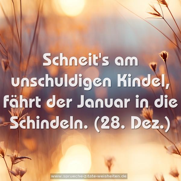 Schneit's am unschuldigen Kindel,
fährt der Januar in die Schindeln.
(28. Dez.)