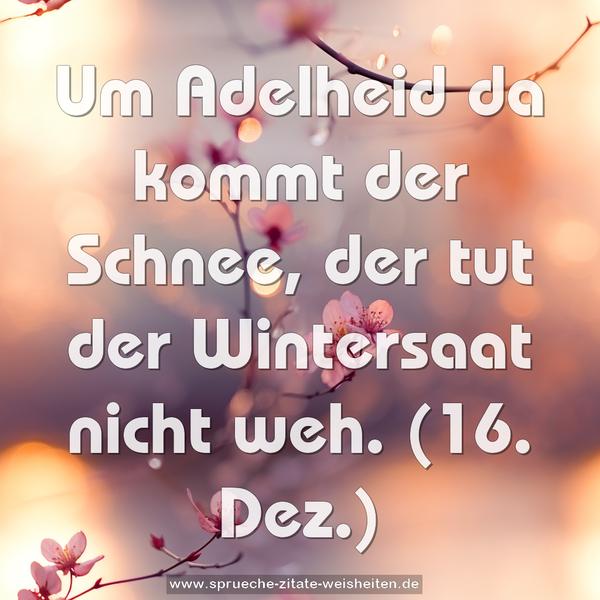 Um Adelheid da kommt der Schnee,
der tut der Wintersaat nicht weh.
(16. Dez.)