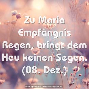 Zu Maria Empfängnis Regen,
bringt dem Heu keinen Segen.
(08. Dez.)