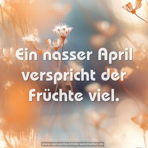 Ein nasser April verspricht der Früchte viel.