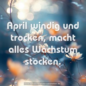 April windig und trocken,
macht alles Wachstum stocken.