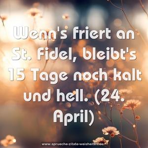 Wenn's friert an St. Fidel,
bleibt's 15 Tage noch kalt und hell.
(24. April)