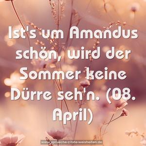 Ist's um Amandus schön, wird der Sommer keine Dürre seh'n.
(08. April)