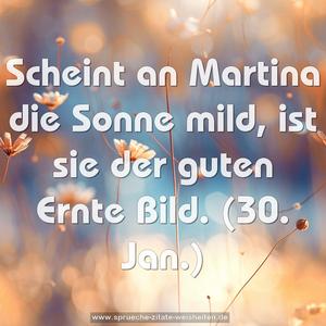 Scheint an Martina die Sonne mild,
ist sie der guten Ernte Bild.
(30. Jan.)