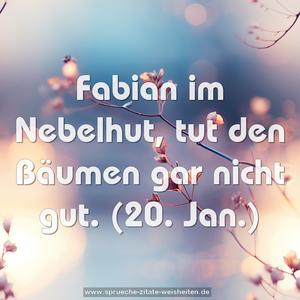 Fabian im Nebelhut, tut den Bäumen gar nicht gut.
(20. Jan.)
