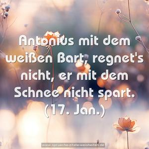 Antonius mit dem weißen Bart, regnet's nicht,
er mit dem Schnee nicht spart.
(17. Jan.)