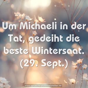 Um Michaeli in der Tat, gedeiht die beste Wintersaat.
(29. Sept.)