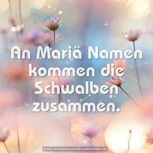 An Mariä Namen kommen die Schwalben zusammen.