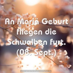 An Mariä Geburt fliegen die Schwalben furt.
(08. Sept.)