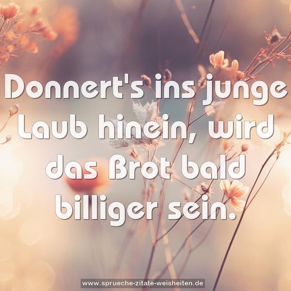 Donnert's ins junge Laub hinein,
wird das Brot bald billiger sein.