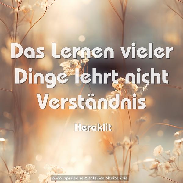Das Lernen vieler Dinge lehrt nicht Verständnis
