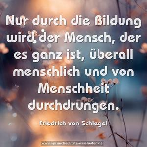 Nur durch die Bildung wird der Mensch,
der es ganz ist,
überall menschlich und von Menschheit durchdrungen.