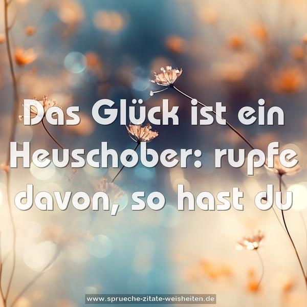 Das Glück ist ein Heuschober:
rupfe davon, so hast du