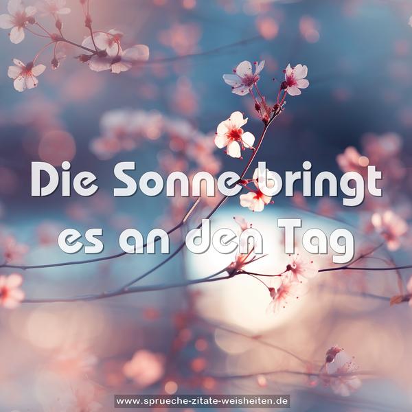 Die Sonne bringt es an den Tag