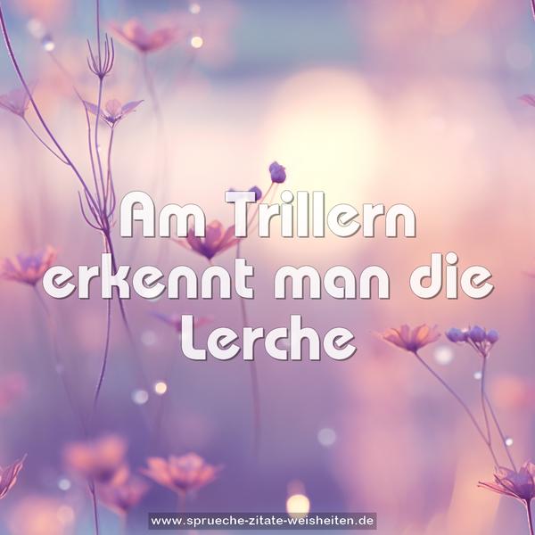 Am Trillern erkennt man die Lerche