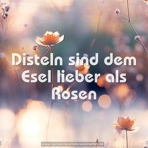 Disteln sind dem Esel lieber als Rosen