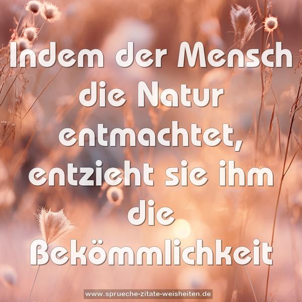 Indem der Mensch die Natur entmachtet,
entzieht sie ihm die Bekömmlichkeit