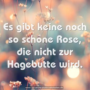 Es gibt keine noch so schöne Rose,
die nicht zur Hagebutte wird.