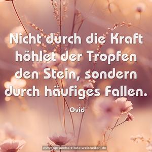 Nicht durch die Kraft höhlet der Tropfen den Stein,
sondern durch häufiges Fallen.