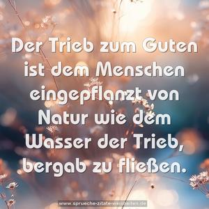 Der Trieb zum Guten ist dem Menschen eingepflanzt von Natur
wie dem Wasser der Trieb, bergab zu fließen.