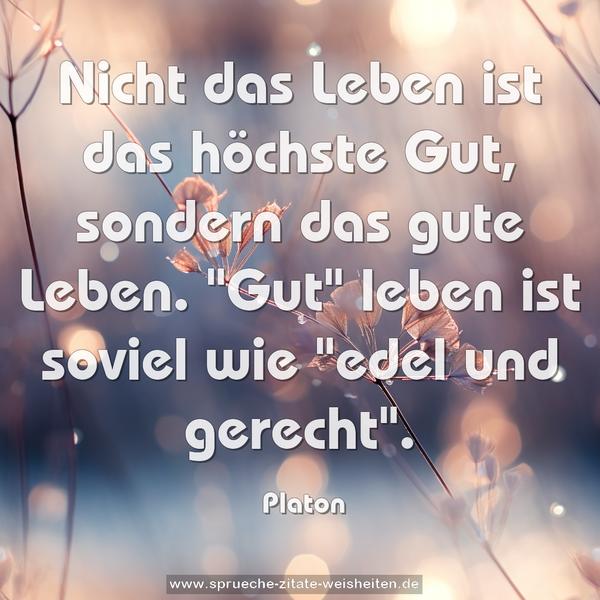 Nicht das Leben ist das höchste Gut, sondern das gute Leben. "Gut" leben ist soviel wie "edel und gerecht".