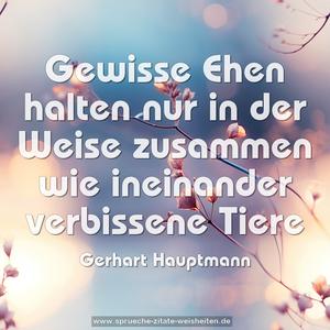 Gewisse Ehen halten nur in der Weise zusammen
wie ineinander verbissene Tiere