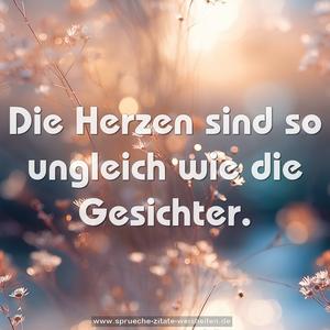 Die Herzen sind so ungleich
wie die Gesichter.