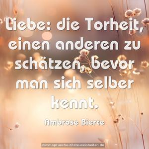 Liebe: die Torheit,
einen anderen zu schätzen, bevor man sich selber kennt.