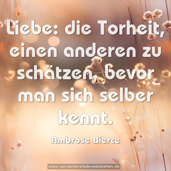 Liebe: die Torheit,
einen anderen zu schätzen, bevor man sich selber kennt.