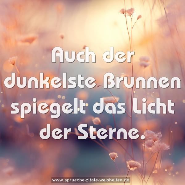 Auch der dunkelste Brunnen
spiegelt das Licht der Sterne.