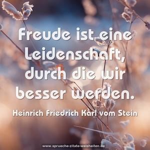 Freude ist eine Leidenschaft, durch die wir besser werden.