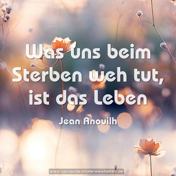 Was uns beim Sterben weh tut, ist das Leben