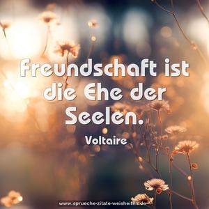 Freundschaft ist die Ehe der Seelen.