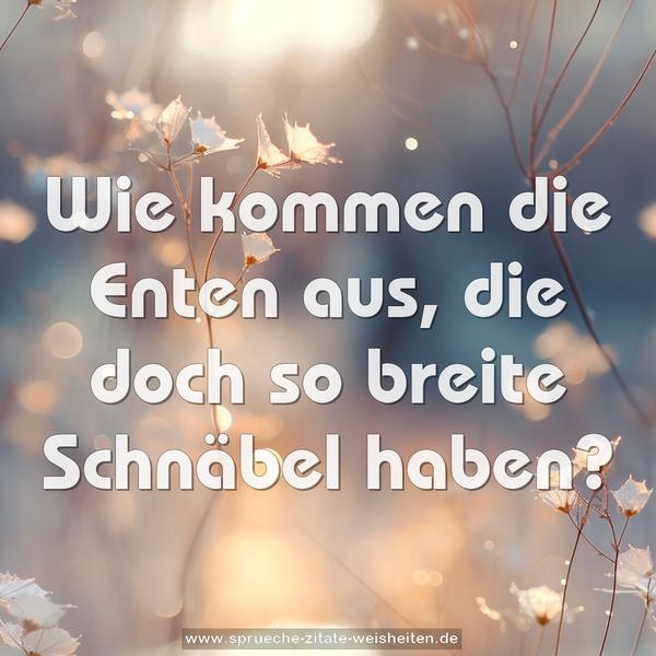 Wie kommen die Enten aus,
die doch so breite Schnäbel haben?