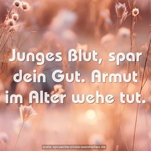 Junges Blut, spar dein Gut.
Armut im Alter wehe tut.