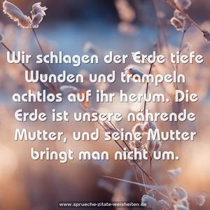 Wir schlagen der Erde tiefe Wunden
und trampeln achtlos auf ihr herum.
Die Erde ist unsere nährende Mutter,
und seine Mutter bringt man nicht um.