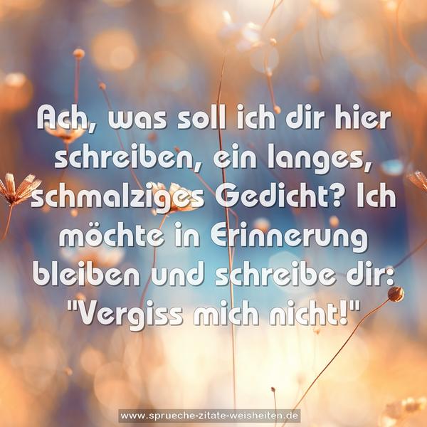 Ach, was soll ich dir hier schreiben,
ein langes, schmalziges Gedicht?
Ich möchte in Erinnerung bleiben
und schreibe dir: "Vergiss mich nicht!"