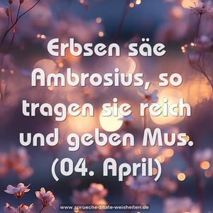 Erbsen säe Ambrosius,
so tragen sie reich und geben Mus.
(04. April)