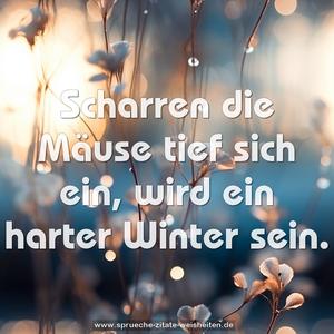 Scharren die Mäuse tief sich ein,
wird ein harter Winter sein.