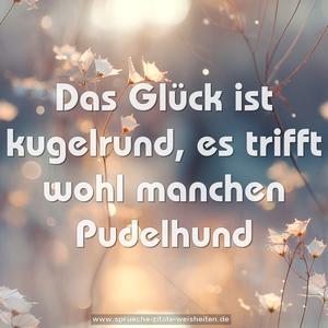Das Glück ist kugelrund,
es trifft wohl manchen Pudelhund