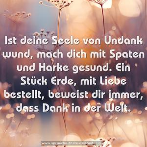 Ist deine Seele von Undank wund,
mach dich mit Spaten und Harke gesund.
Ein Stück Erde, mit Liebe bestellt,
beweist dir immer, dass Dank in der Welt.