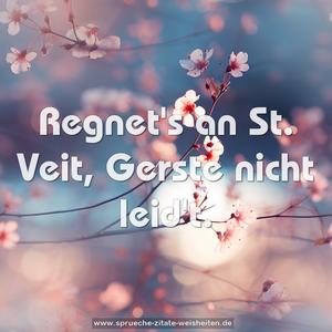 Regnet's an St. Veit, Gerste nicht leid't.