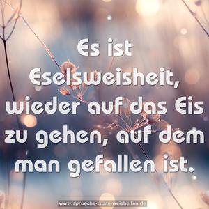 Es ist Eselsweisheit, wieder auf das Eis zu gehen,
auf dem man gefallen ist.