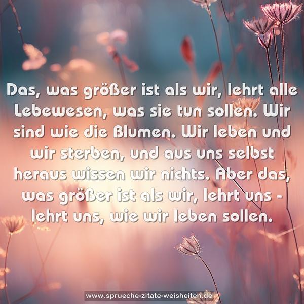 Das, was größer ist als wir,
lehrt alle Lebewesen, was sie tun sollen.
Wir sind wie die Blumen. Wir leben und wir sterben,
und aus uns selbst heraus wissen wir nichts.
Aber das, was größer ist als wir, lehrt uns -
lehrt uns, wie wir leben sollen.