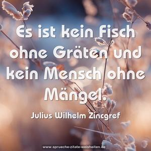 Es ist kein Fisch ohne Gräten 
und kein Mensch ohne Mängel.