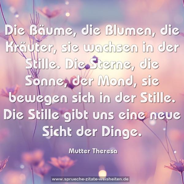 Die Bäume, die Blumen, die Kräuter,
sie wachsen in der Stille.
Die Sterne, die Sonne, der Mond,
sie bewegen sich in der Stille.
Die Stille gibt uns eine neue Sicht der Dinge.