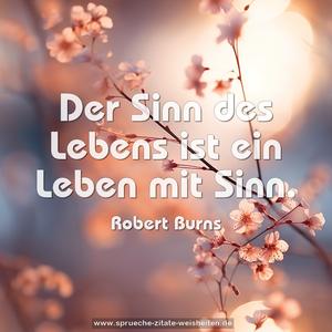 Der Sinn des Lebens ist ein Leben mit Sinn.