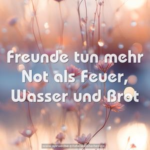 Freunde tun mehr Not
als Feuer, Wasser und Brot