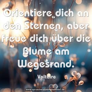 Orientiere dich an den Sternen,
aber freue dich über die Blume am Wegesrand.