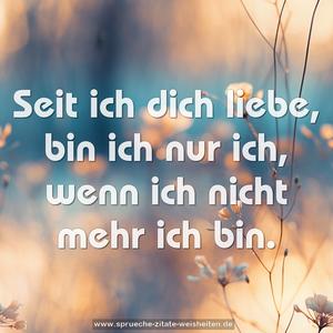 Seit ich dich liebe,
bin ich nur ich, wenn ich nicht mehr ich bin.